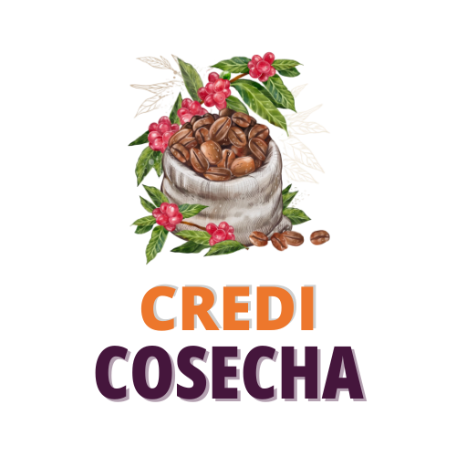Imagen del icono de 